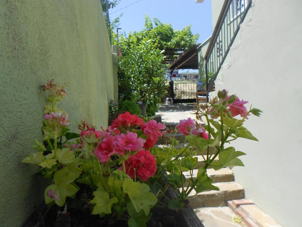 Irmak Family Pension & Apartments Эджеабат Номер фото